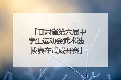 甘肃省第六届中学生运动会武术选拔赛在武威开赛
